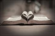 Book Lovers