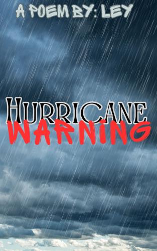 Cover art for Hurricane Warning