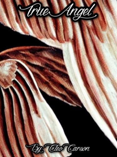 Cover art for True Angel: Book 1, Chapters 1-3