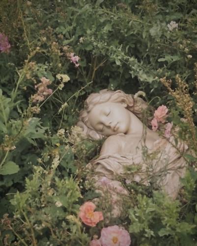 Cover art for Queen of Dreams
