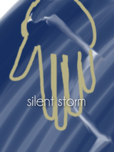 Cover art for silent storm