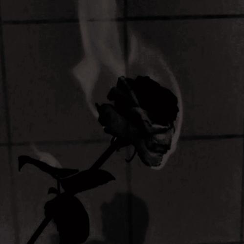 Cover art for Life Has Turned Me Down-An Inspirational Speech About Your Emotions