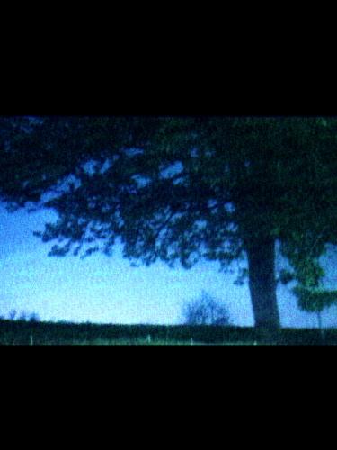 Cover art for Under the skin