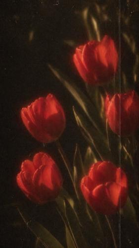 Cover art for The Last Argument Between Two Numbers