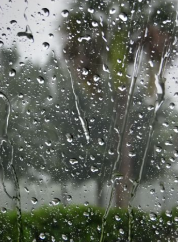 Cover art for Shadows in the Rain