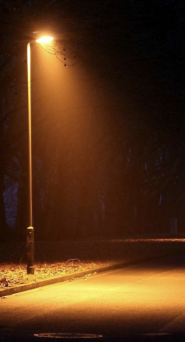 Cover art for I am Hollow