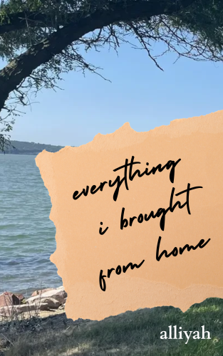 Cover art for everything i brought from home