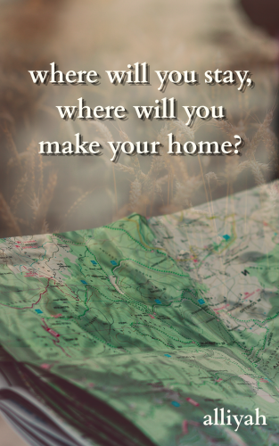 Cover art for where will you stay, where will you make your home