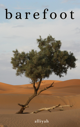 Cover art for barefoot