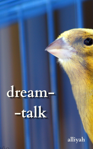 Cover art for dream-talk