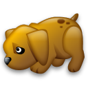 dog-icon.png