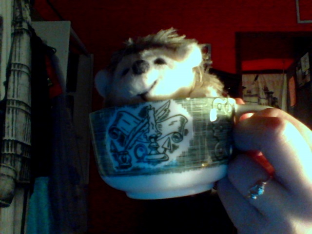 The Hedgehog