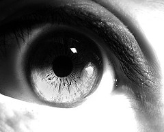 Photo of Paroxysm Effect