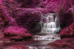 Photo of ThePointsFairy