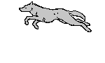 Photo of wildspiritontheloose