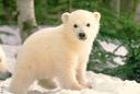 Photo of sparkle0450