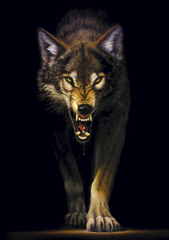 Photo of Kerzawolf