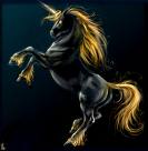 Photo of Fantasydotcom