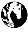 Photo of horserider117