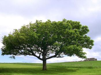 Photo of Lfiction65