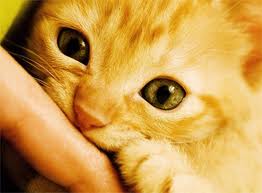 Photo of lolly1407