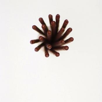 Photo of jcha92
