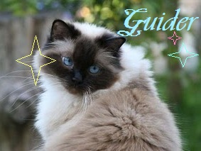 Photo of Guider