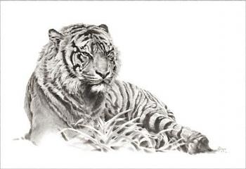 Photo of kloka