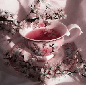 Photo of MagicMilk