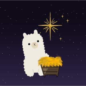 Photo of alpacaboss