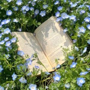Photo of Book