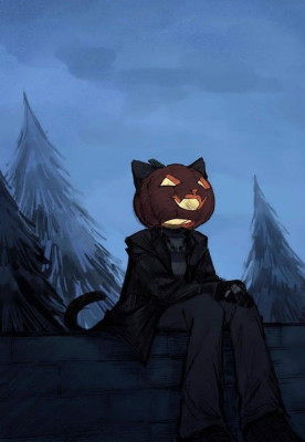 Photo of NovemberCrow