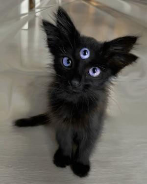 Photo of LiminalAngel