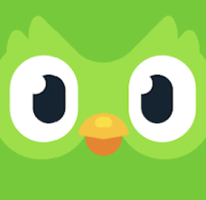 Photo of Duolingo