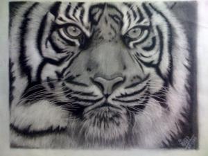 Photo of GauravK