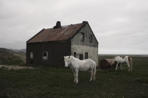 Photo of user2753994356