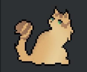 Photo of AirbackTheCat
