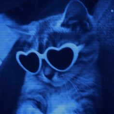 Photo of UnKn0wN3V3R