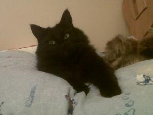 Photo of Caz