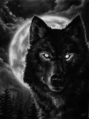 Photo of NightWolf