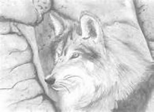 Photo of DemonZombieWolf