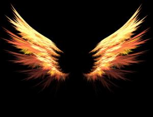 Photo of CelerityFire21