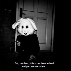 Photo of littlebunny