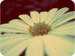 Photo of wendymilner98