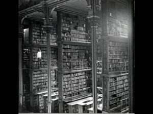 Photo of MagentaDefined