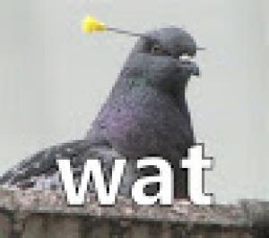 Photo of Poopsie