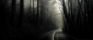 Photo of fallenmoonmist
