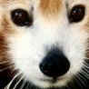 Photo of fredlikesmen