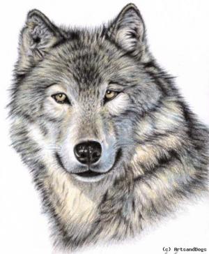 Photo of Charcoal