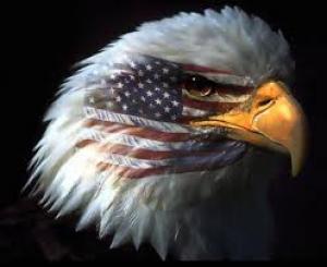 Photo of thundereagle
